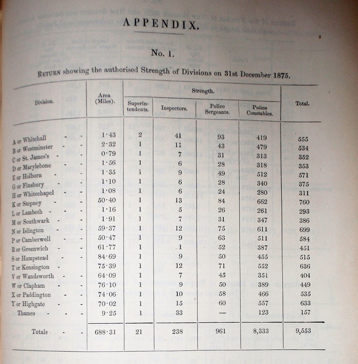 table from Commissioner's report for 1875 showing divisional strengths