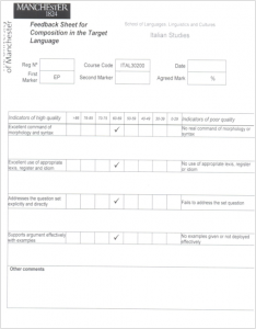 This image shows the feedback summary form used at Manchester University. The headings are difficult to read, but basically it has a series of boxes for marks and space for the assesor's open comments under each assessment criterion,