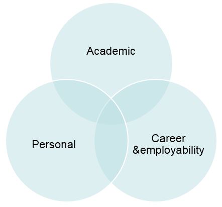 Three areas of PDP