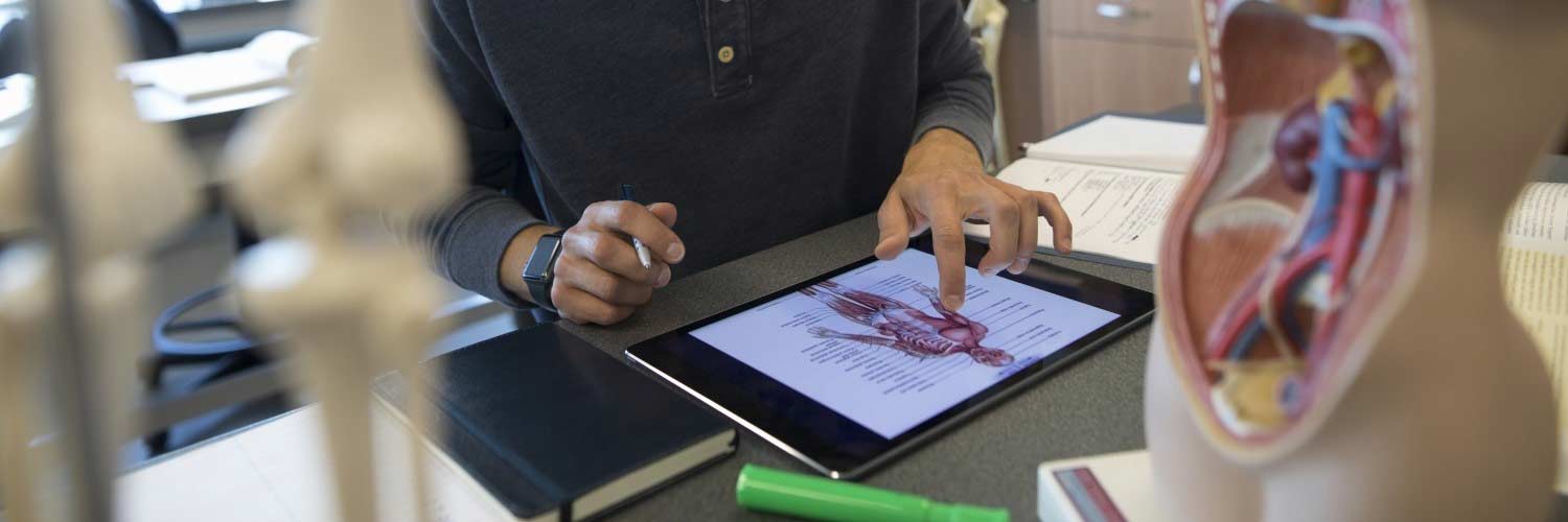 Student using a tablet to revise muscles in the human body