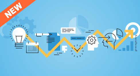 Visual showing global development project process