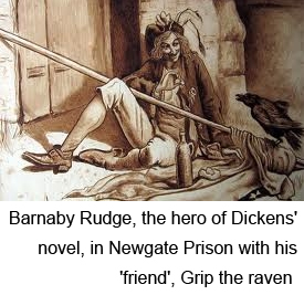 An old drawing of Barnaby Rudge in Newgate Prison with Grip the raven