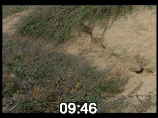 clicking on this image will launch a new video player window playing at this point (ie 9 minutes and 46 seconds) from the start of the video