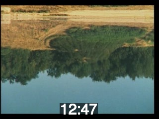 clicking on this image will launch a new video player window playing at this point (ie 12 minutes and 47 seconds) from the start of the video