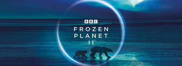 Frozen Planet Hero Banner