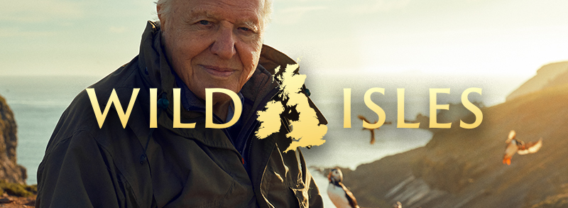 Sir David Attenborough@ © Alex Board/ Silverback Films/BBC