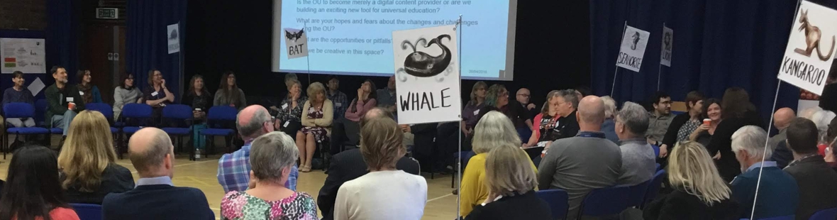 Participants sitting in groups with banners of animal names
