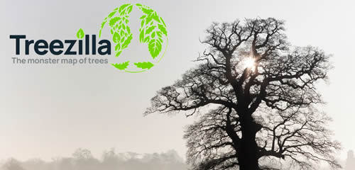 A single large tree in the foreground with the rising sun shining through its branches. Other trees in the distance are obscured by mist. The Treezilla logo - a globe map formed by leaves, is to the left.