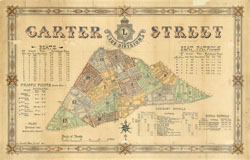 Map of carter Street Sub-Division