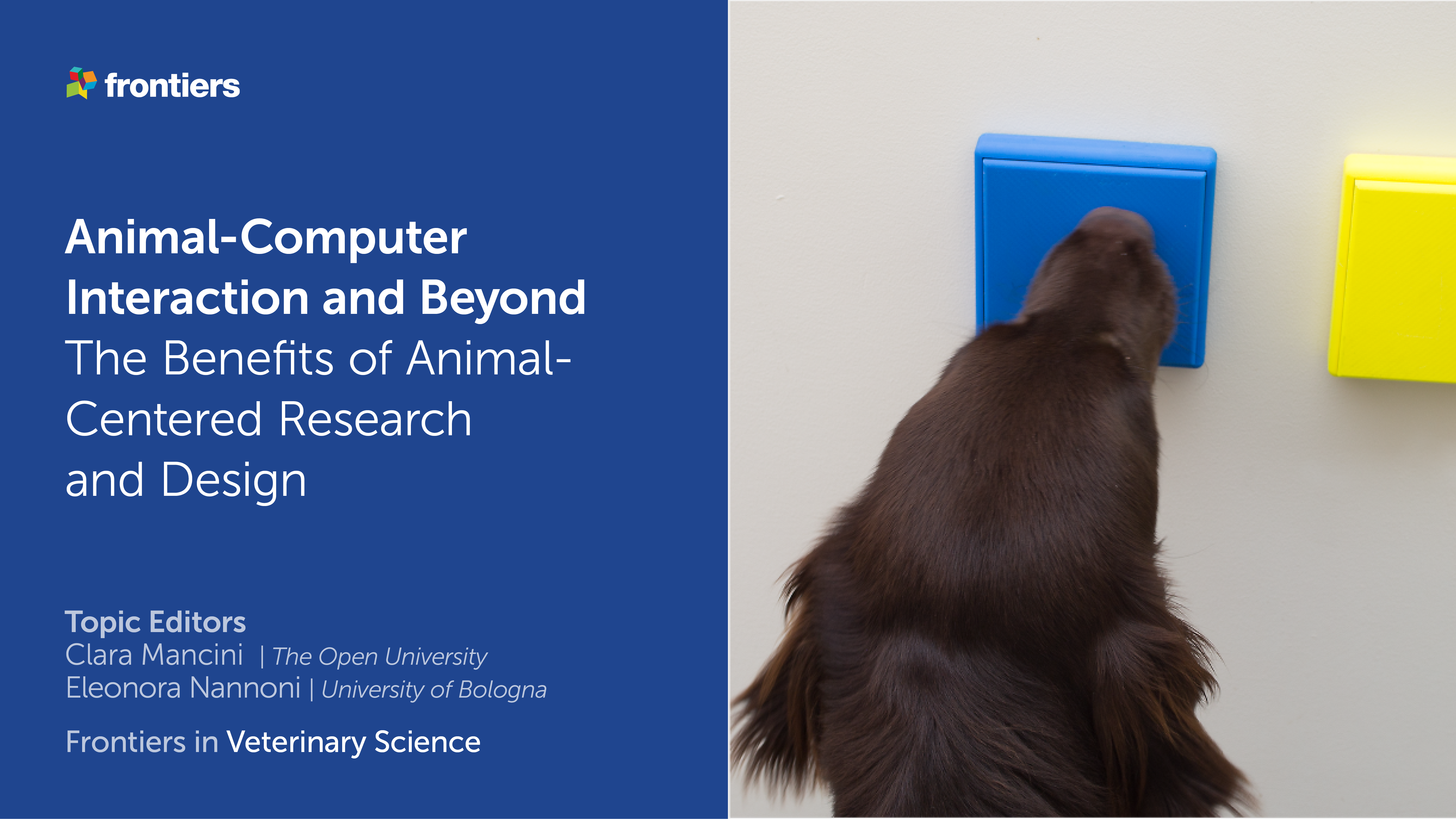 Animal-Computer Interaction Lab | Advancing the art and science of  designing animal-centered interactive systems for a participatory  multispecies society