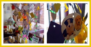 A 'Memory Tree' in a Spiritualist church with messages for loved ones.