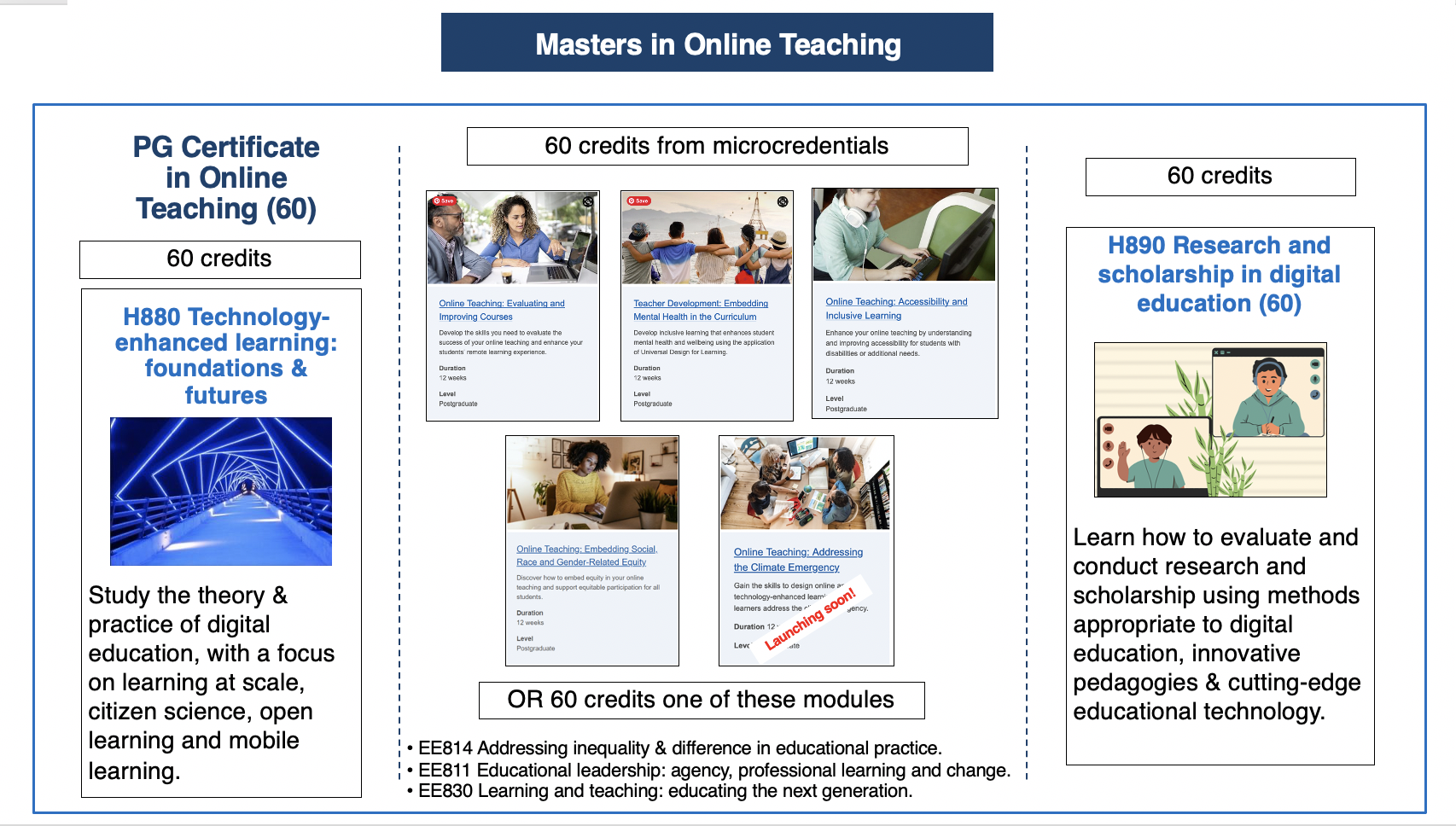 Diagram showing the structure of the Masters in Online Teaching