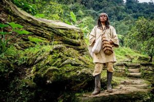 Image of a Kogui tribe member standing in a forest.