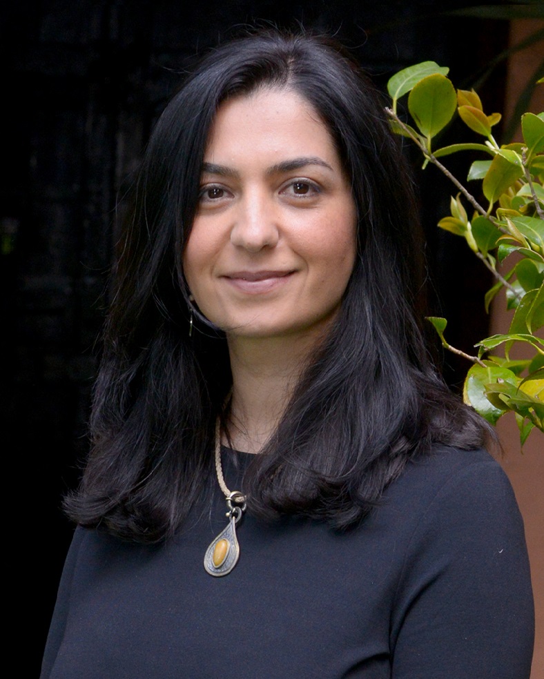 Fostering Thinking in the Mathematics Classroom, by Nazanin Nikanjam