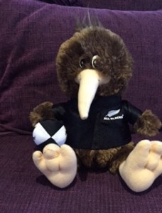 Kevin the Kiwi  (Picture by Candice Lingam-Willgoss)