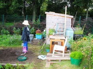 Nutshell Allotment set at the Edinburgh Fringe