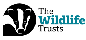 Logo for The Wildlife Trusts
