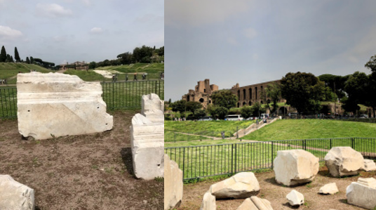 Figure 10: marble fragments of the Arch of Titus dot the site