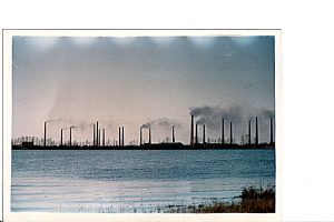 The Stewartby skyline in 1984 The Stewartby skyline in 1984