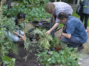 The Challenge of Re-Opening a Community Garden – The Covid-19 Crisis and Access to and Uses of Green spaces in Cities 