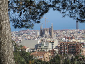 A picture of Barcelona, with a tree framing a view across the city and the Sagrada Familia