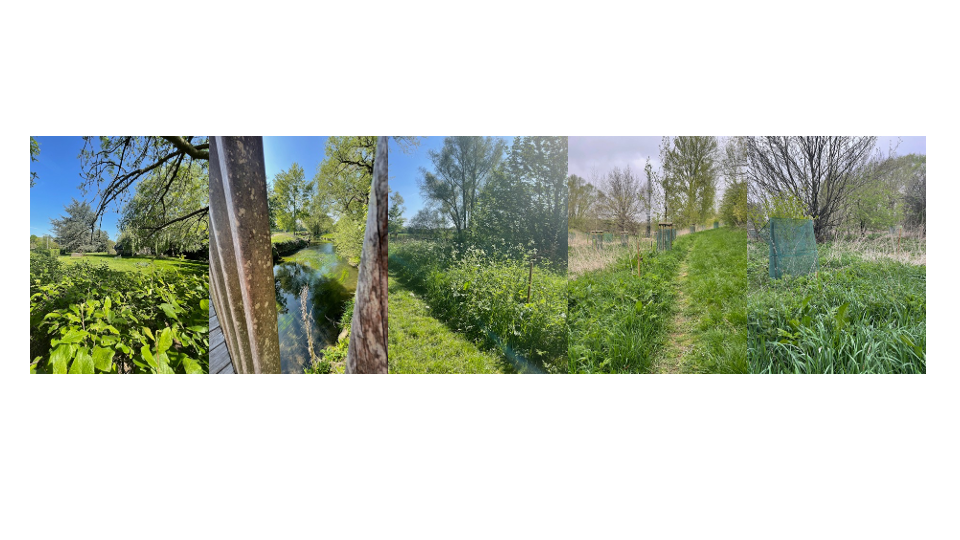 Campus Life_1: our green spaces