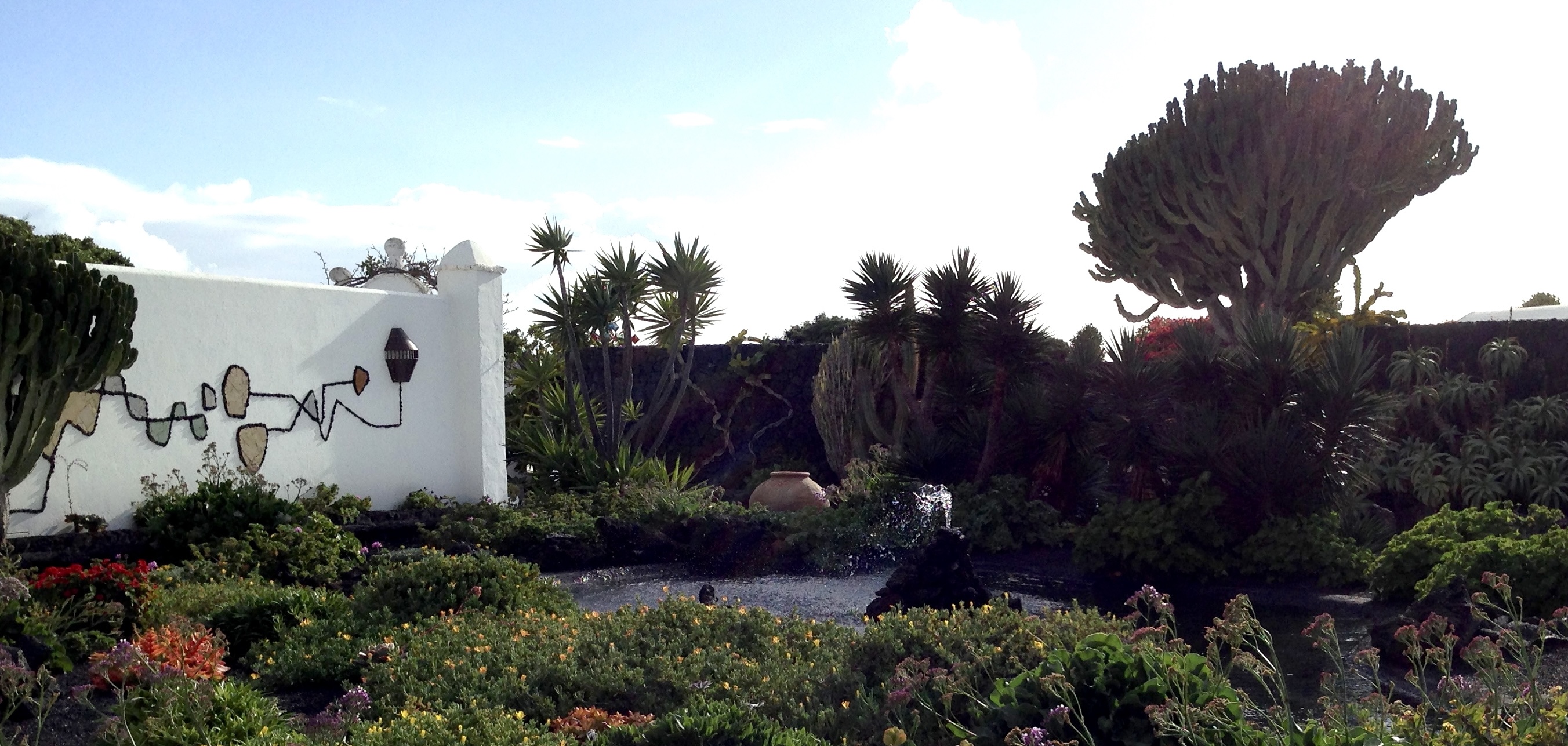 A cool courtyard garden with a white wall and water feature