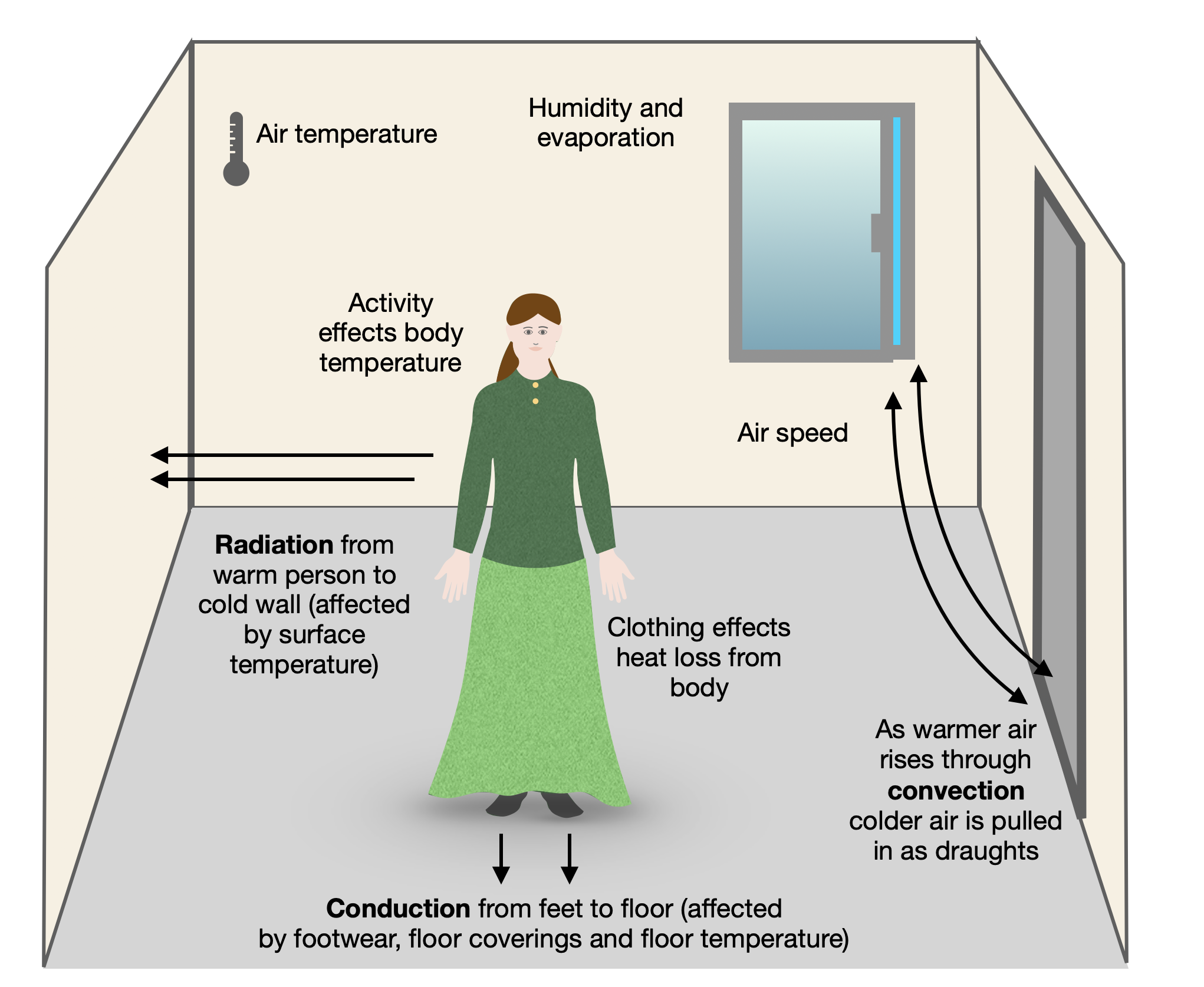 Shows a person standing in a room and the various heat loss patterns, including radiant heat loss, air temperature, humidity, air movement and so on.