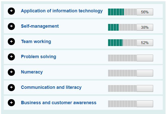 Interactive skills audit tool