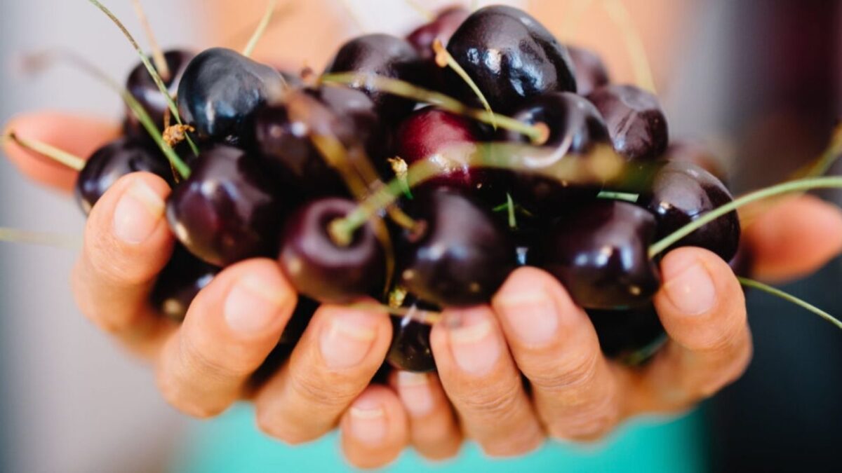 Cherries held out in hands