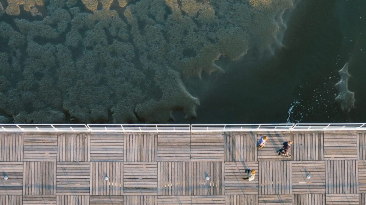 Walkway viewed from overhead