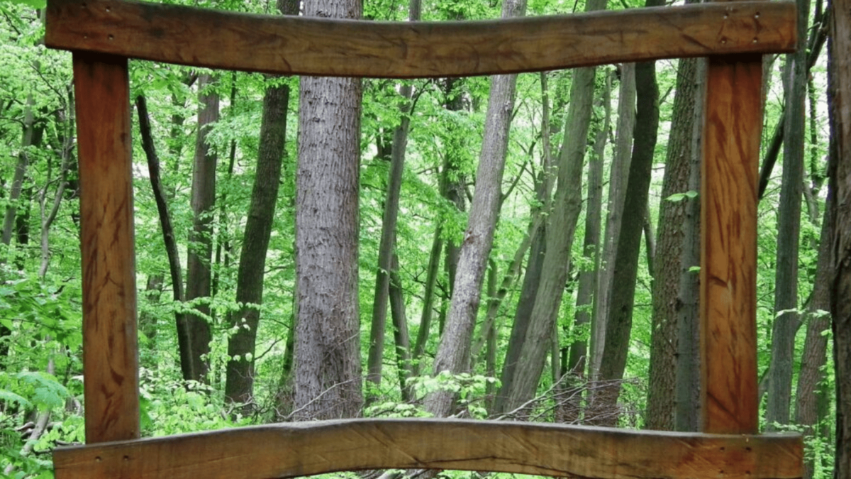 Wooden frame among trees in a forest
