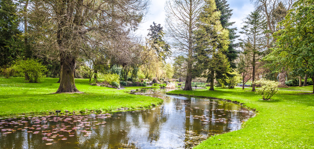 Photo of the Dublin Botanical Gardens in Dublin, Ireland. The image shows a lawned area with a variety of trees and a stream meandering through it.