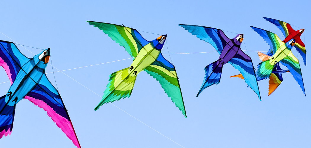 A Faculty in Conversation: FBL Scholarship Connects Vision, Practice, and Partnership