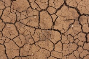 Dry desert