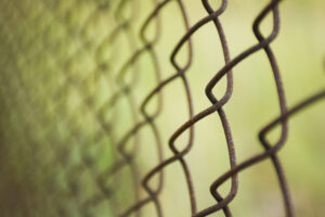 Wire fence