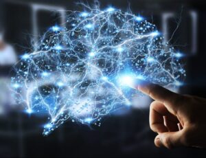 Brain digital