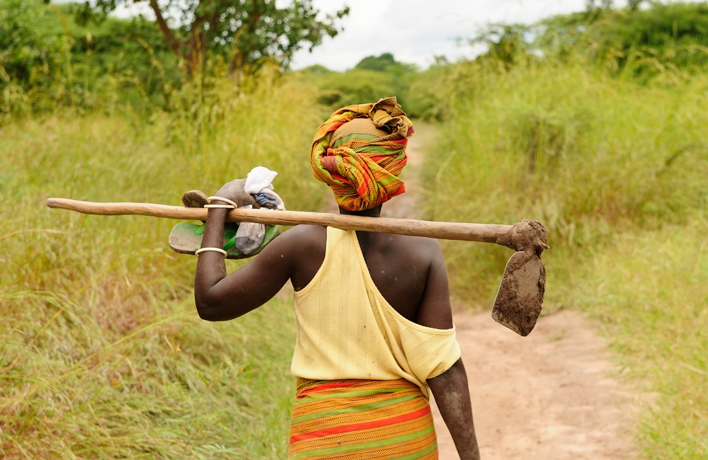 Girls from poorest districts in Zimbabwe begin accelerated learning programme