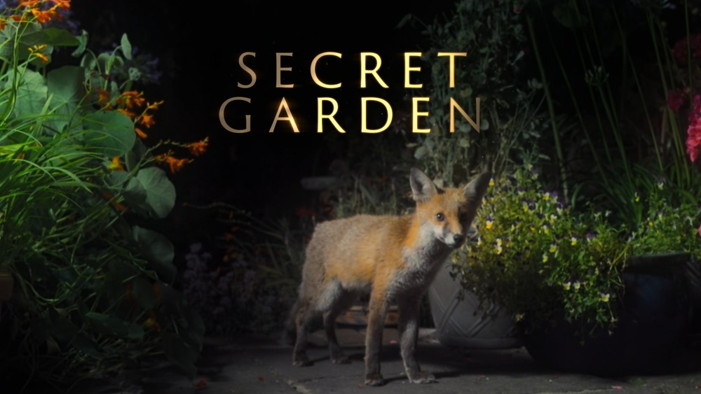 David Attenborough explores the hidden wildlife of Britain’s gardens in new OU / BBC series