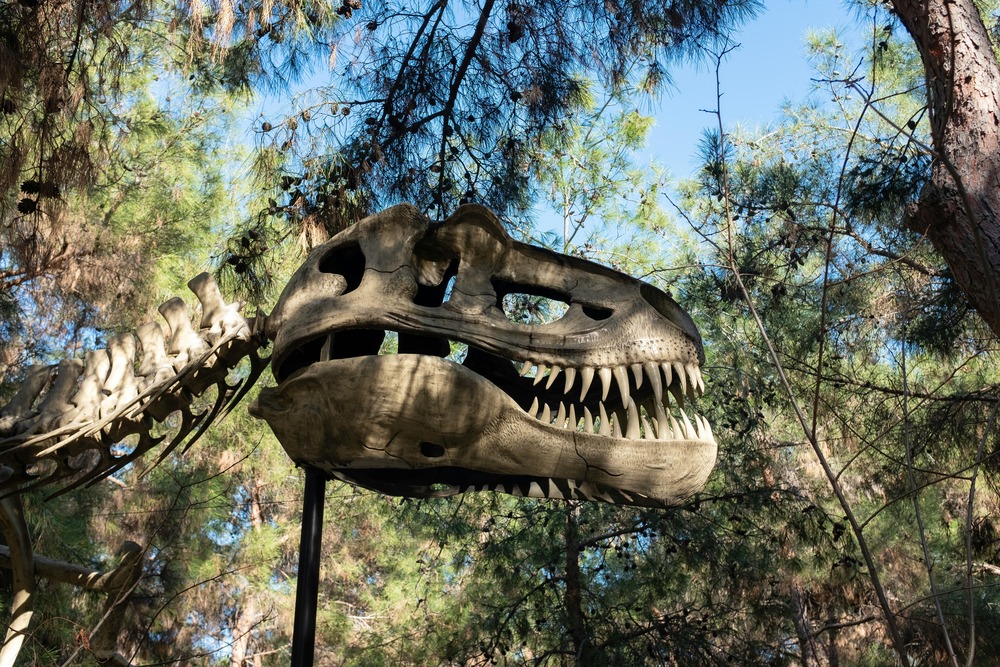 What it would have been like to experience the dinosaur‑killing asteroid armageddon: a blow‑by‑blow account