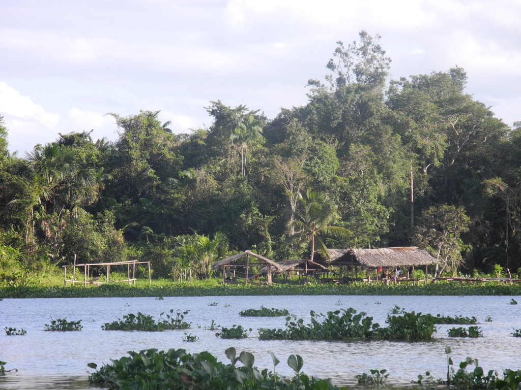 Figure 1. Warao (indigenous culture) settlement in the tropical lowland forests of the Orinoco Delta, Venezuela. (Photo: E. Montoya).