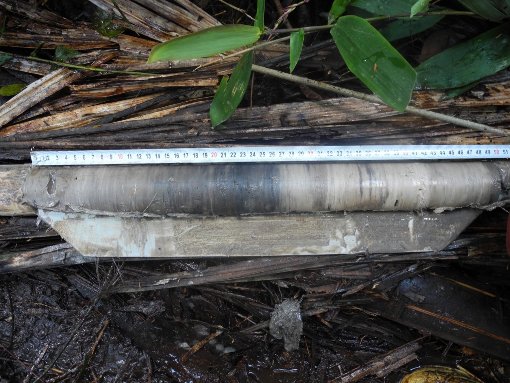 Figure 3. Example of sediment collected.