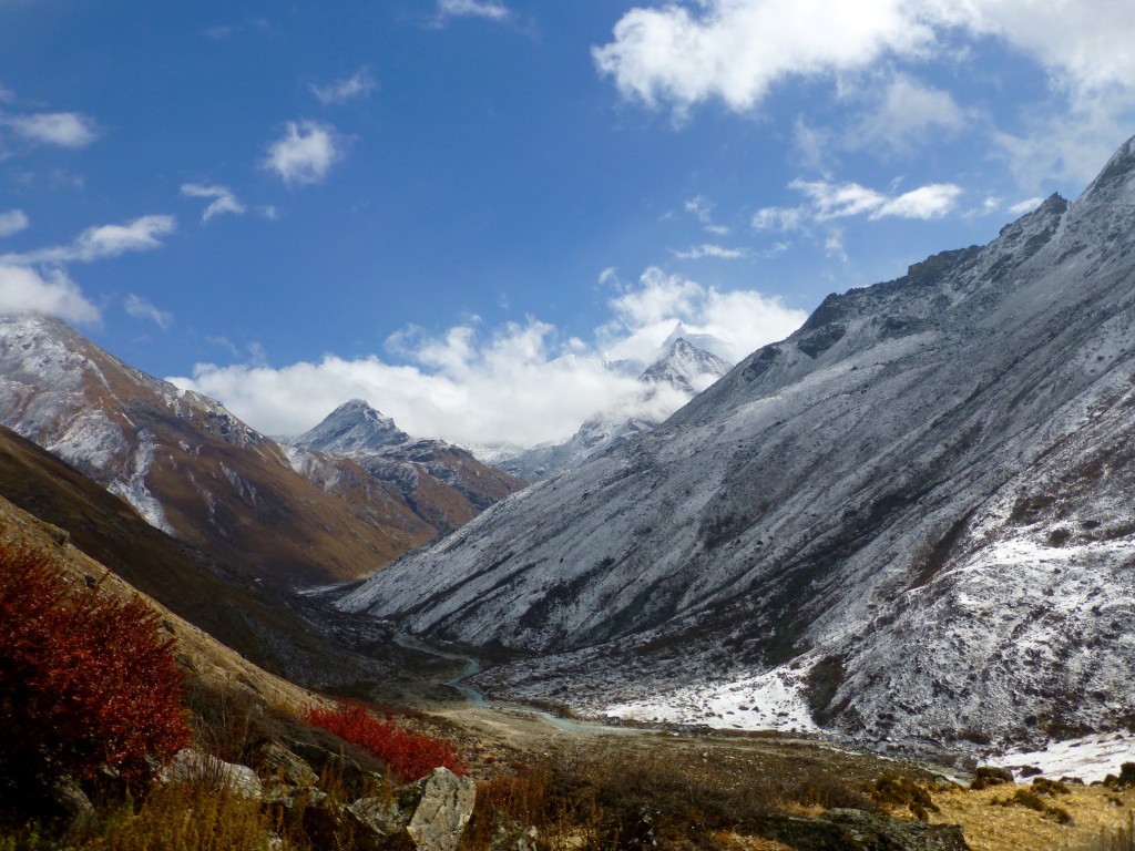 The Masang Kang valley in north-west Bhutan, my study area in the eastern Himalaya. Photo: Eleni Wood.