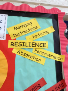 Concepts relevant to understanding resilience in Mathematics.
