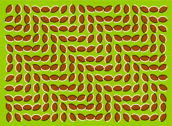 Optical Illusion by Aaron Fulkerson https://www.flickr.com/photos/roebot/1461507866