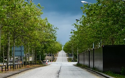 A dual carriageway in Milton Keynes in the UK (home of The Open University) lined with trees