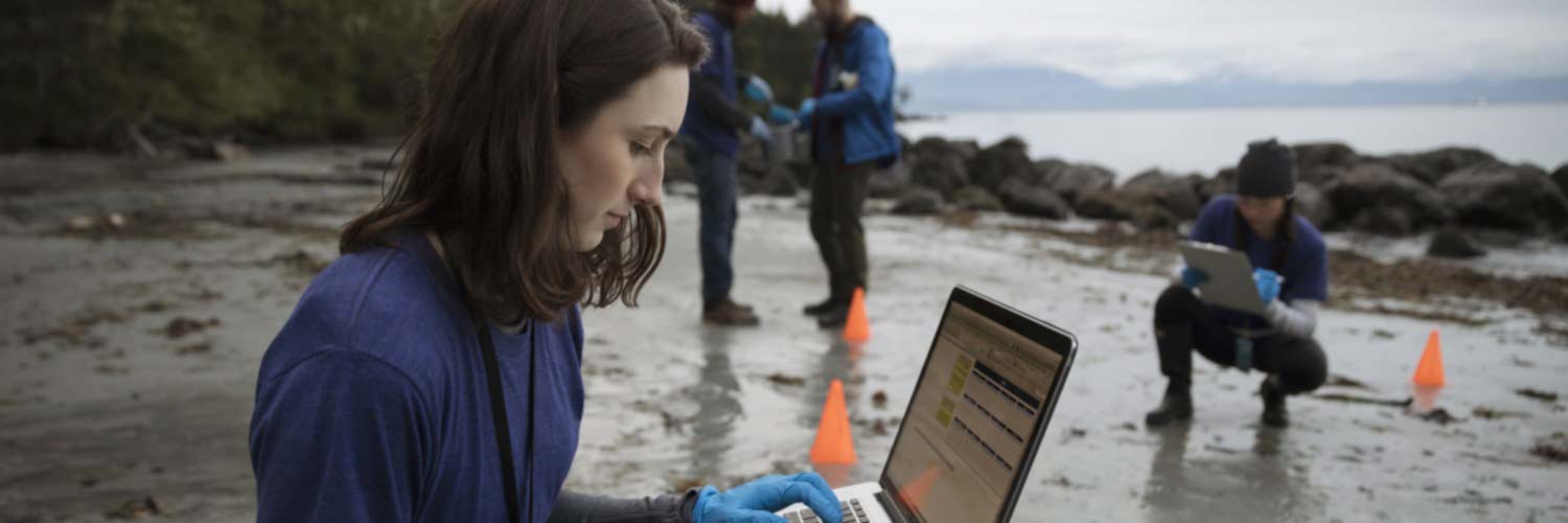 Group of students carrying out environmental survey on a beach