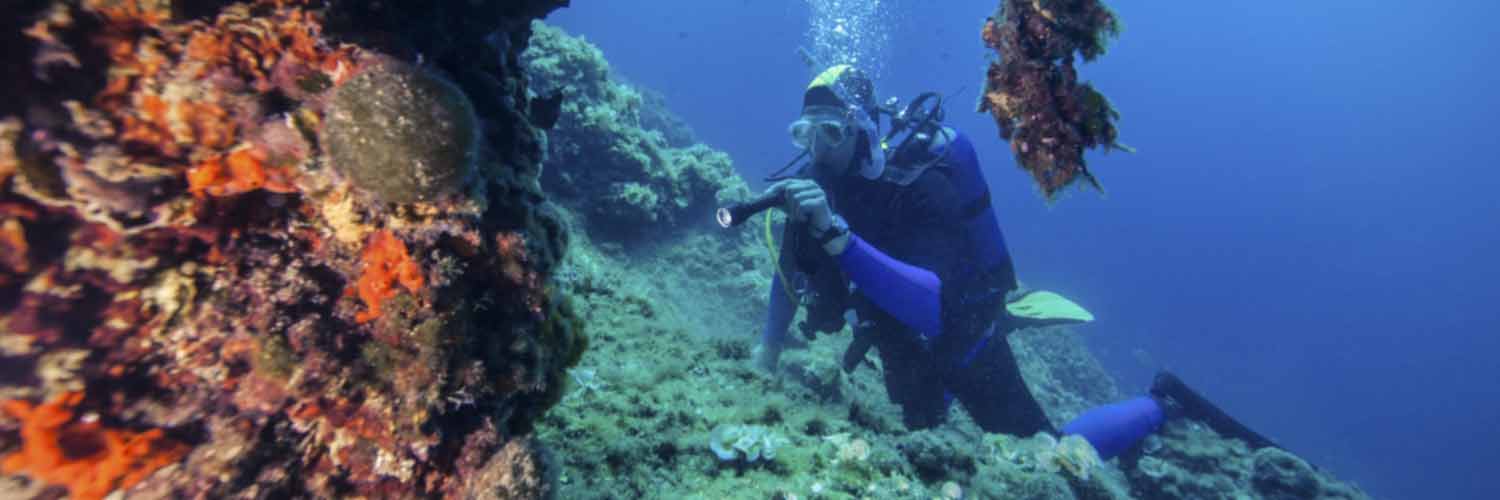 Diver inspecting underwater environment