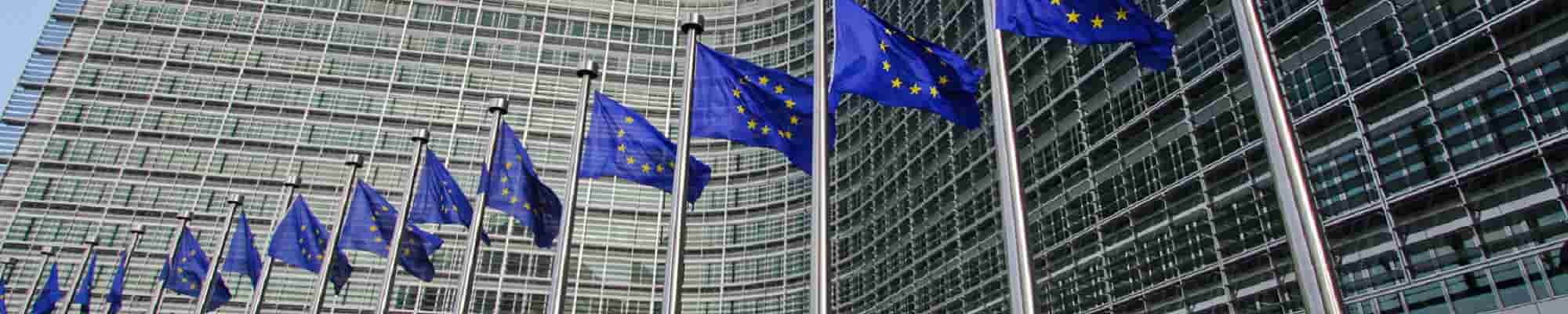 European Union flags in front of the Berlaymont building photo