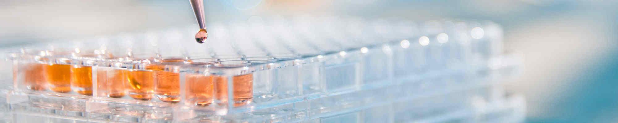 An image to illustrate the BSc (Hons) Healthcare and Health Science